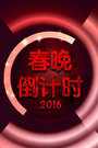 辽宁春晚倒计时2016