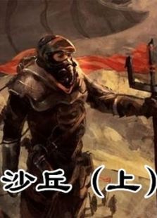沙丘 上