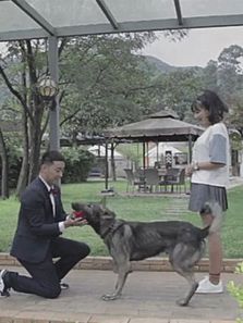 整蛊青年