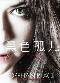 黑色孤儿 第二季