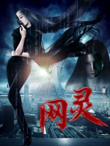 网灵