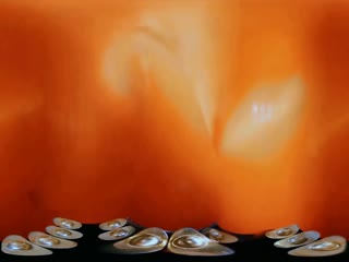 花满楼VR剧