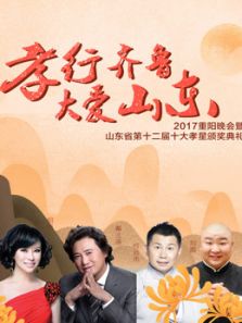2017山东重阳晚会