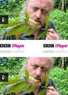 比尔·贝利的丛林英雄