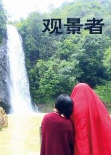 观景者