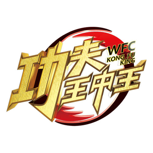 功夫王中王 第三季