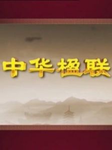 书法课堂中华楹联孙丹林品读