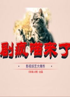 剧疯喵来了