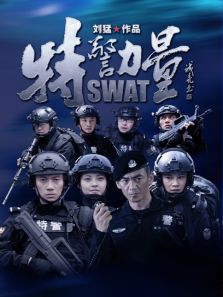 特警力量湖南