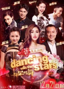 与星共舞