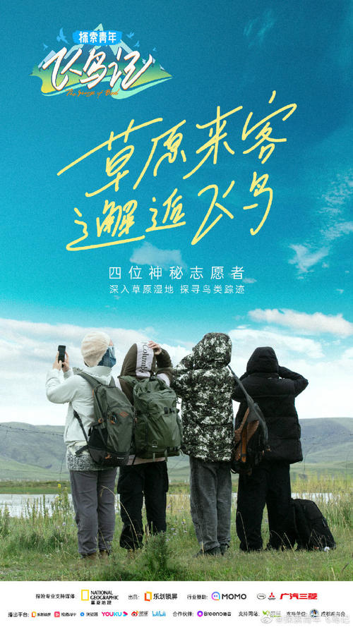 探索青年飞鸟记