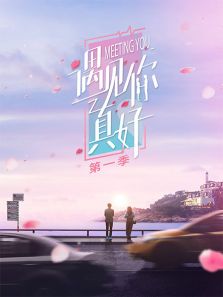 遇见你真好 第一季