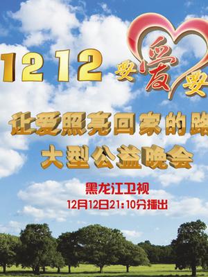 黑龙江1212“要爱”公益晚会