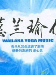 蕙兰瑜伽中级系列