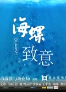 愿海螺里不再有海哭的声音