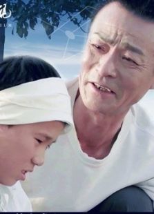 网