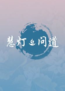 慧灯●问道