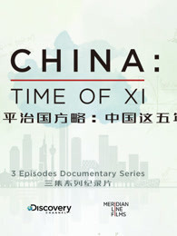 习近平治国方略:中国这五年