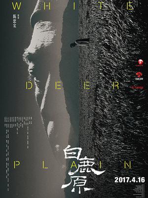 白鹿原花絮:原来如此