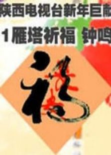 陕西2011雁塔祈福