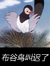 布谷鸟叫迟了