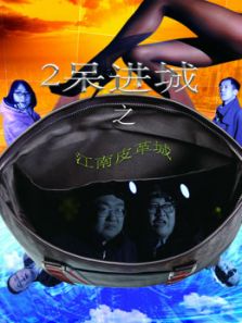 2呆进城之江南皮革城