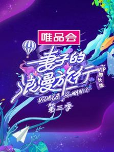 妻子的浪漫旅行3