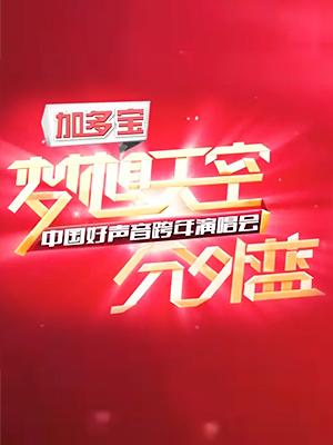 浙江2013梦想天空分外蓝中国好声音跨年演唱会