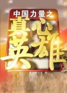 河北真心英雄