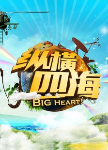 纵横四海2012
