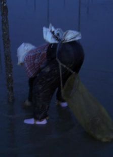 曾岛人生