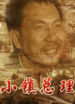 小镇总理