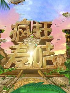 疯狂的麦咭2014
