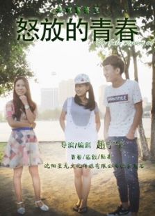 冰城宁哥之怒放的青春
