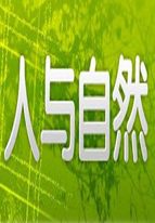 抖音美好奇妙夜2020