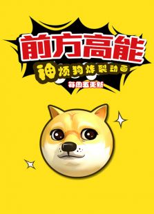 前方高能之神烦狗炸裂