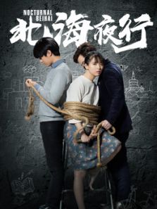 北海夜行
