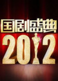 2013安徽跨年晚会