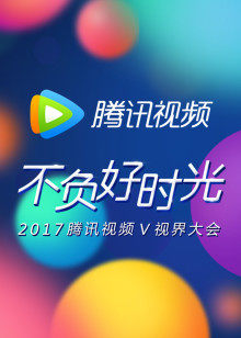 2017视频V视界大会