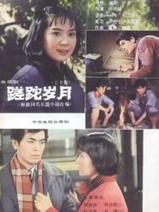 蹉跎岁月1982
