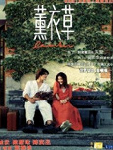 熏衣草