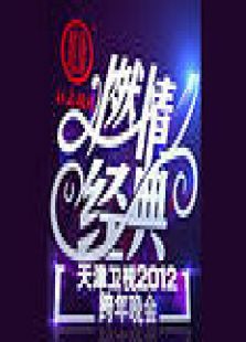 天津2012跨年晚会