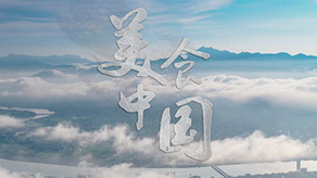 美食中国