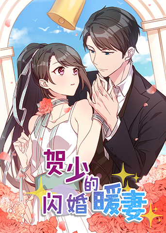 贺少的闪婚暖妻