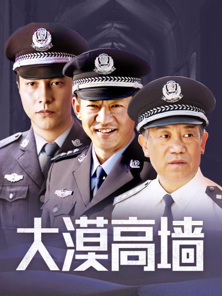 大漠高墙
