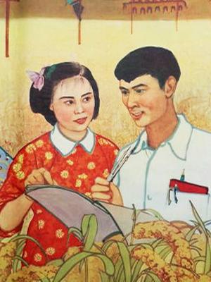我们村里的年轻人续集