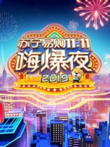 2019湖南苏宁易购11.11嗨爆夜