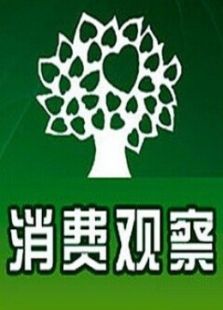 消费观察