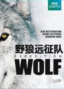 野狼远征队