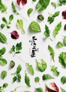 爱上川菜爱上四川